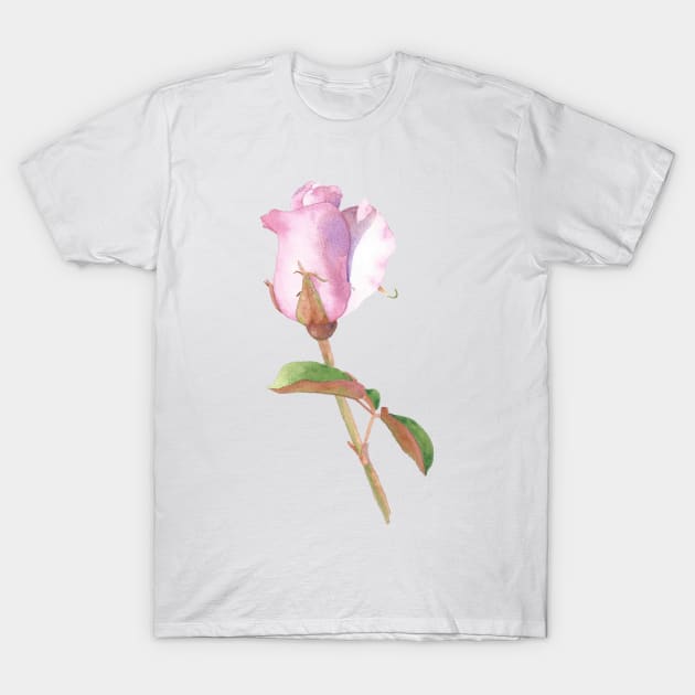 Pink Rosebud T-Shirt by Sharon Rose Art